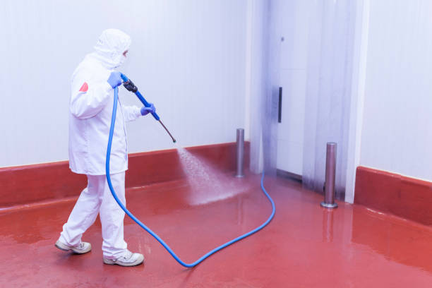 Best Factory Floor Cleaning  in Massac, KY